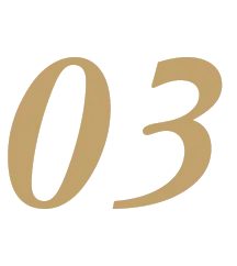 03
